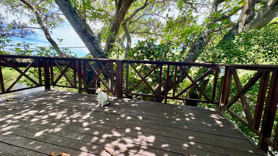 To Let 4 Bedroom Property for Rent in Bonza Bay Eastern Cape